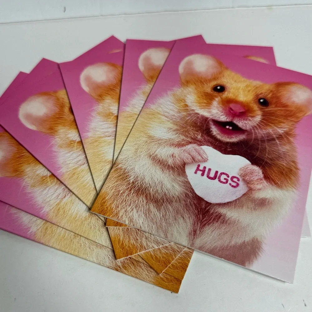6 Avanti Greeting cards- Mouse holding hugs candy Holiday: Valentines Day